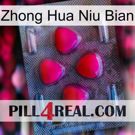 Zhong Hua Niu Bian 13